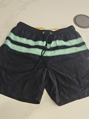 Nautica Navy Swim Trunks with Mint Stripes